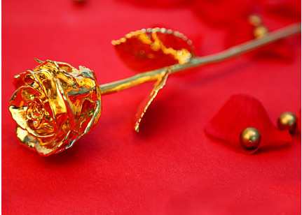 Valentine Week Special: रोज़ डे को इस तरह बनाइए स्पेशल, दिल को छू जाएँगे आपके ये तरीके gifts for rose day,rose day,valentines day 2019