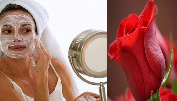 Rose Day Special : गुलाब से मिलेगा चहरे को गुलाबी निखार, जानें तरीका 