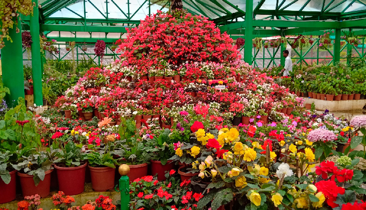 ooty sightseeing,ooty tourist spots,ooty attractions,doddabetta peak,government botanical gardens,rose garden ooty,ooty lake,stephen’s church ooty,dolphin’s nose coonoor,sim’s park coonoor