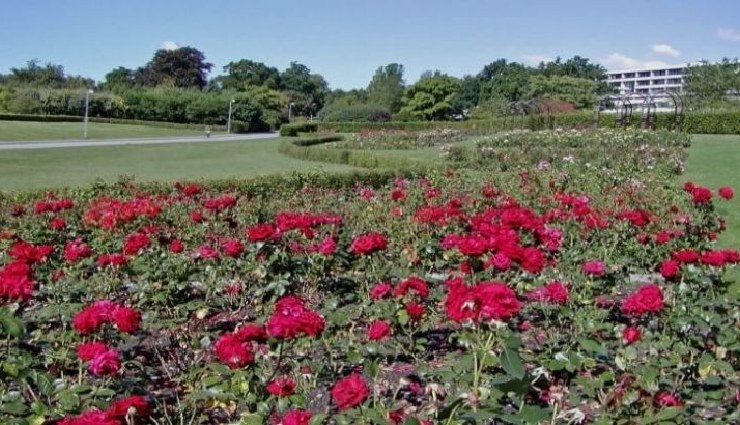 pushkar tourism,places to visit in pushkar,pushkar temples,pushkar lake,rajasthan tourist places,pushkar travel guide,cultural attractions in pushkar,spiritual places in rajasthan,pushkar sightseeing,best places in pushkar,pushkar festival,heritage sites in pushkar