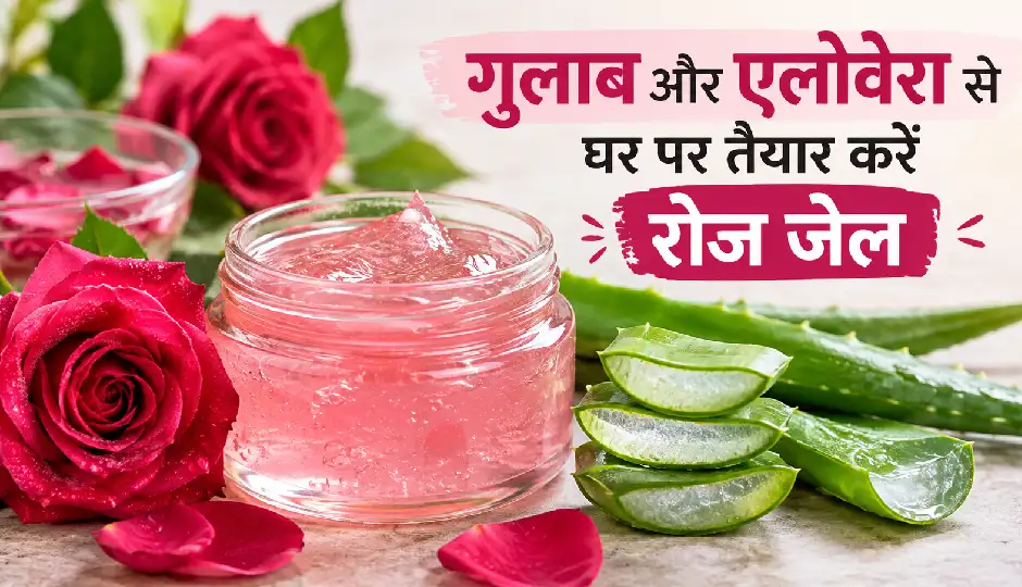महंगे फेस जेल पर खर्च करने की जरूरत नहीं, गुलाब और एलोवेरा से घर पर तैयार करें रोज जेल