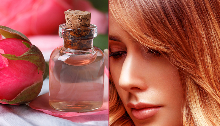 rose water for skin,amazing benefits of rose water,rose water benefits,rose water,rose water for beauty,beauty tips