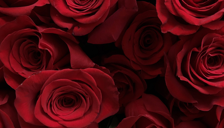 rose petals,beauty tips,uses of rose petals ,ब्यूटी,ब्यूटी टिप्स,गुलाब की पत्तियों से पाये खूबसूरती