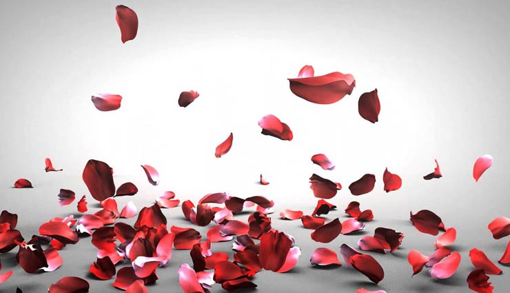 benefits of rose petal for intimacy,benefits of rose petal,uses of rose petal,rose petal