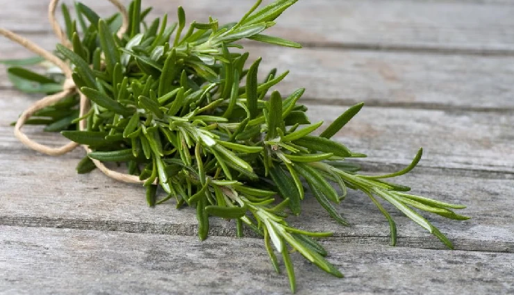 healing herbs,natural remedies,homegrown herbs,herbal medicine,immunity boosting herbs,natural wellness,herbal healing,medicinal plants,natural health tips,safe herbal remedies,herbs for immunity,organic healing,traditional healing herbs,healing plants to grow,natural living tips