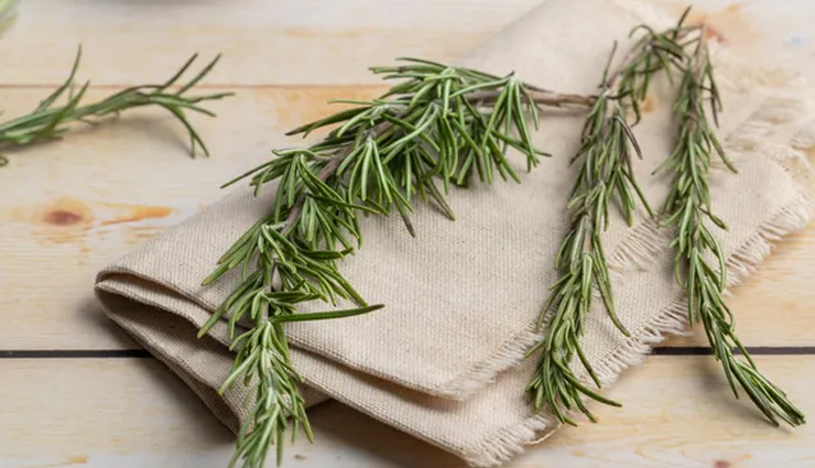 rosemary benefits for skin,rosemary benefits for hair,rosemary for hair growth,rosemary for glowing skin,rosemary oil for skin,rosemary oil for hair,rosemary for dandruff,rosemary for acne,rosemary for scalp health,rosemary anti-aging benefits,rosemary for hair thickness,rosemary essential oil for beauty,rosemary for skin hydration,rosemary for hair shine,rosemary for reducing wrinkles