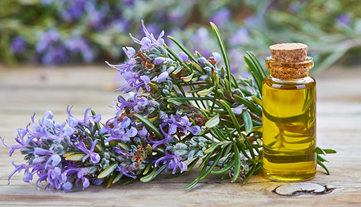 5 best oil to treat your headache