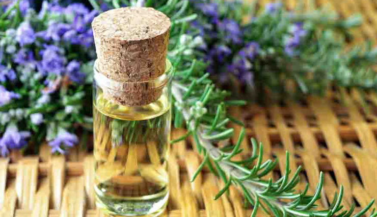 6 best oil for your hair health,best oil for hair,hair care tips,best oil for hair