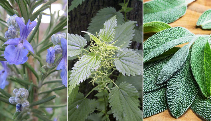 natural hair dyes,natural hair dyes to get brown red and blonde color,hair color,blonde color,beauty,beauty tips