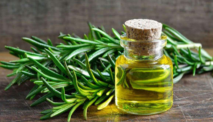 5 DIY Ways To Use Rosemary Oil for Hair Growth