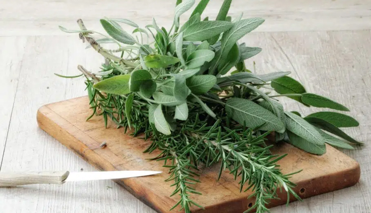 remedies to treat premature greying of hair,beauty tips,beauty hacks