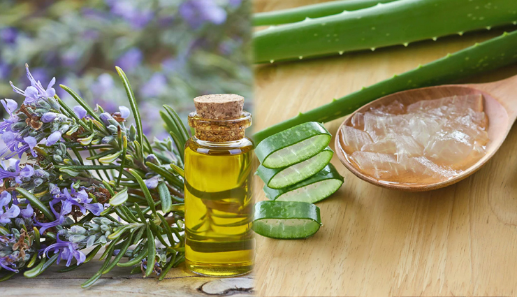 3 Ways To Use Rosemary Oil For Better Hair Growth 