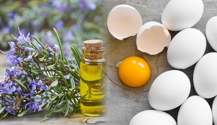 rosemary oil,rosemary oil for better hair growth,hair growth,hair care tips,hair,beauty,beauty tips