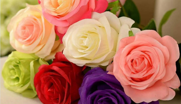 हर रंग के गुलाब का है अपना एक अलग मतलब, जानिए 
