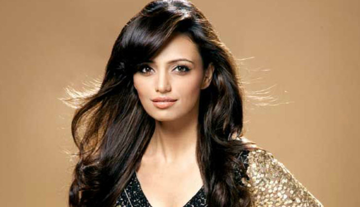 Roshni Chopra To Make Comeback With Digital World