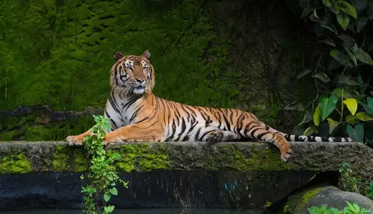 unesco world heritage sites,unesco world heritage sites in bhutan,travel,travel guide,travel tips