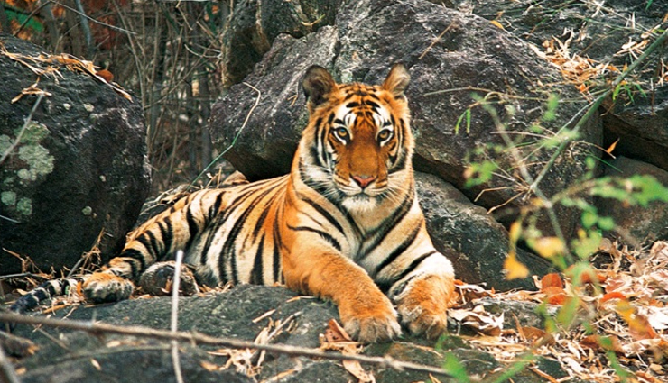 bhutan,beautiful places in bhutan,bhutan travel,bhutan travel guide,bhutan travel tips,travel