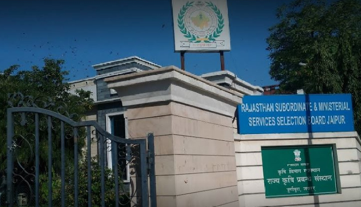 RSMSSB : राजस्थान में 10वीं पास के लिए करीब 6000 पदों पर निकली भर्ती, इस दिन से करें आवेदन