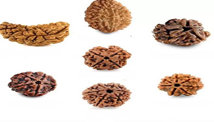 astrology tips,astrology tips in hindi,rudraksha,types of rudraksha,shivpurana