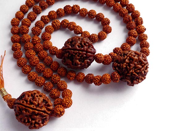 राशि के अनुसार जाने कौन सा रुद्राक्ष दिलाएगा सफलता