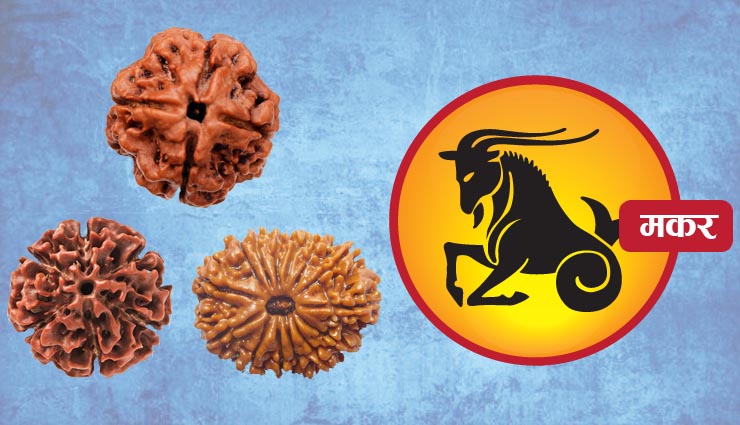rudraksh,zodiac sign,astrology tips
