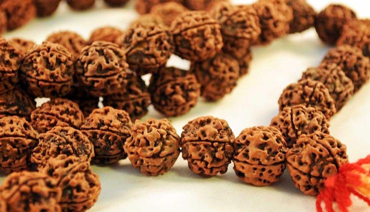astrology tips,astrology tips in hindi,rudraksha,types of rudraksha,shivpurana