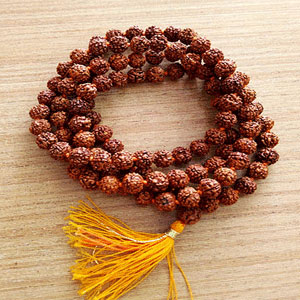 rudraksh mala,rudraksh,astrology tips