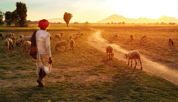 unique rajasthani experiences,must-try activities in rajasthan,top things to do in rajasthan,rajasthan cultural experiences,hidden gems in rajasthan,rajasthani adventure activities,royal rajasthan experiences,rajasthan heritage tours,desert activities in rajasthan,rajasthan offbeat travel ideas