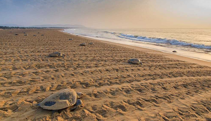 beautiful places in india,peaceful places in india,india tourism,tourist places in india,travel,travel guide