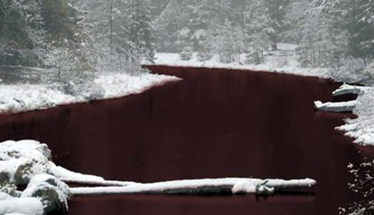 खून जैसी लाल हुई रूस की ये नदी, जानवरों ने भी बनाई दूरी, देखे वीडियो