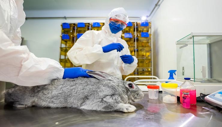 रूस ने बनाई जानवरों को लगने वाली कोरोना वैक्सीन, शुरू हुआ टीका लगना 