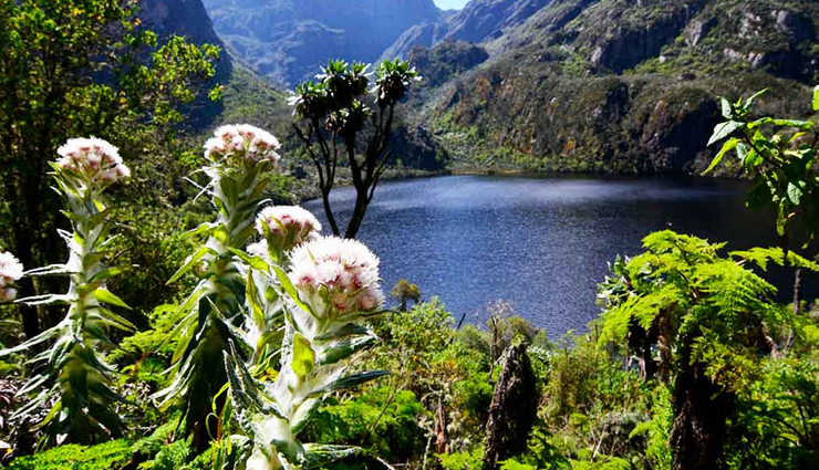 best places to visit in uganda,top tourist spots in uganda,must-see attractions in uganda,explore uganda: top destinations,uganda travel guide: best places,uganda hidden gems,ultimate uganda travel destinations,discover uganda: top tourist sites,uganda most visited places,unforgettable uganda: tourist attractions