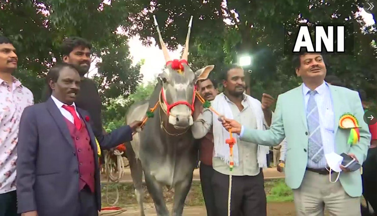 कृषि मेले में 1 करोड़ में बिका ये सांड, 1000 रुपये में बिकता है इसके स्पर्म का एक डोज