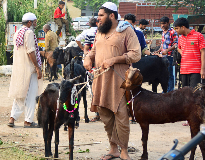 bakrid 2018,sacrificing goats on bakrid,importance of sacrifice