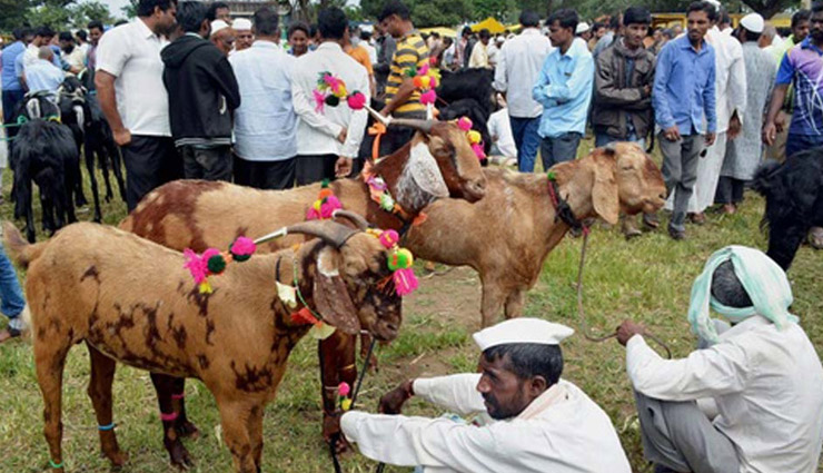 Bakrid 2018- Importance of Sacrificing Goats on Bakrid