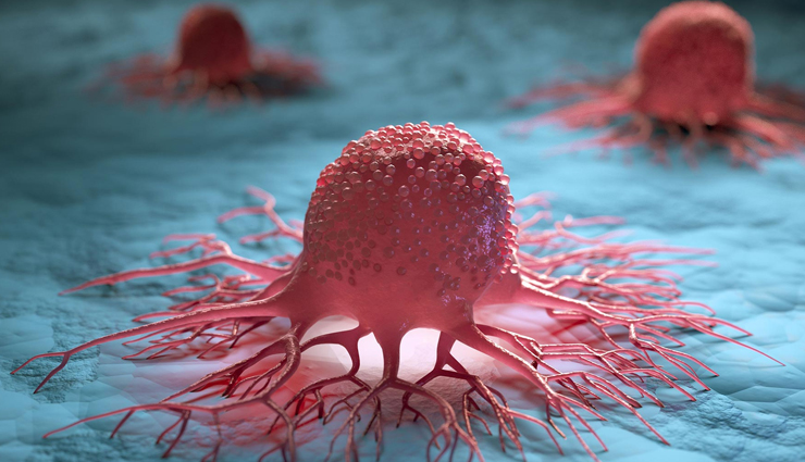 sadabahar,health benefits of sadabahar,Health tips,fitness tips