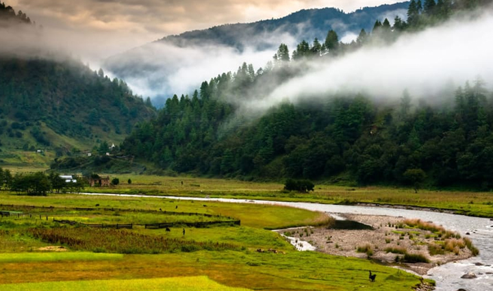 girls want to do bachelor party before marriage
choose these 10 places,holiday,travel,tourism