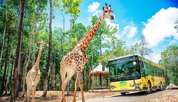 phu quoc island,phu quoc beaches,vietnam islands,tropical paradise vietnam,phu quoc travel guide,gulf of thailand islands,phu quoc culture,phu quoc tourism,vietnam beach holidays,adventure in phu quoc,historical sites phu quoc