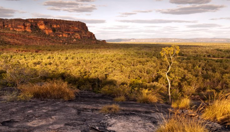 safari destinations in australia,australia,places to visit in australia,great ocean road,mungo outbacks,uluru outback,maria island,kangaroo island,australias top end