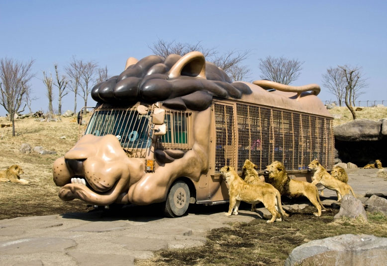 safari parks in africa,africa tourism,holidays,travel