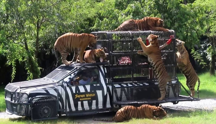 bangkok,bangkok tourism,tourist places in bangkok,holidays in bangkok,holidays,tourism