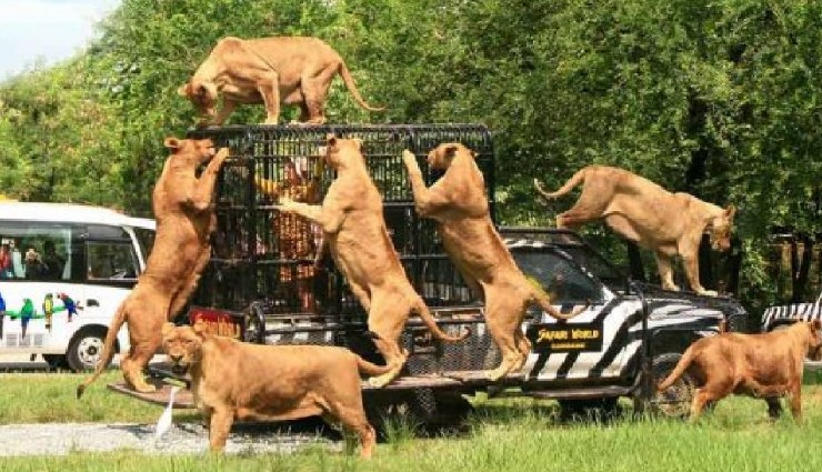 bangkok attractions,things to do in bangkok,best places to visit in bangkok,bangkok travel guide,floating markets bangkok,safari world bangkok,emerald buddha temple,khaosan road nightlife,siam paragon mall,bangkok tourism,lumpini park,sea life ocean world,madame tussauds bangkok,giant swing bangkok,wat suthat temple,bangkok sightseeing,bangkok shopping places,bangkok must-visit places