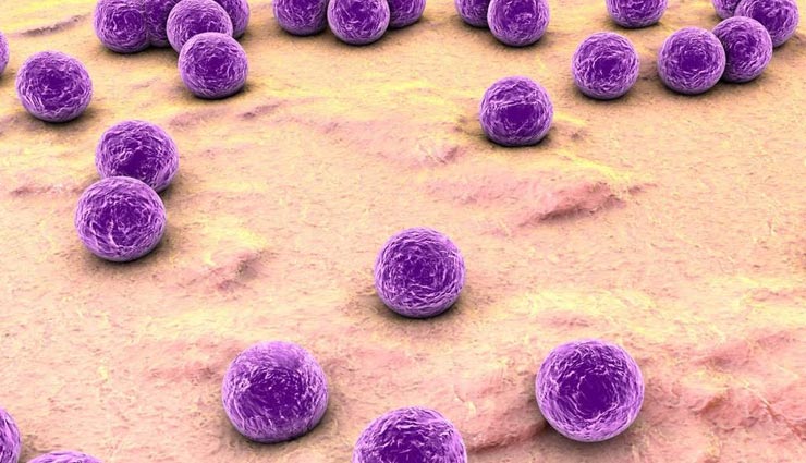 safflower oil,beauty benefits of safflower oil,beauty tips,skin care tips