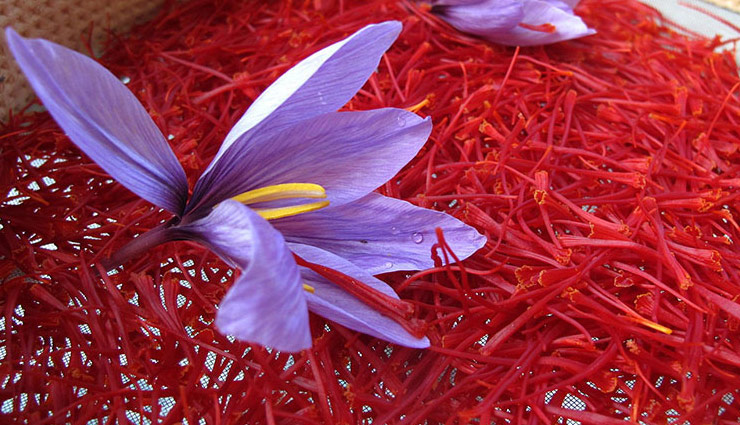 6 benefits of saffron,saffron,saffron uses,saffron benefits for skin