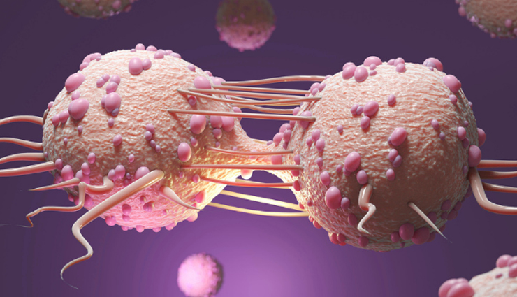 health benefits of saffron,saffron,Health tips,fitness tips