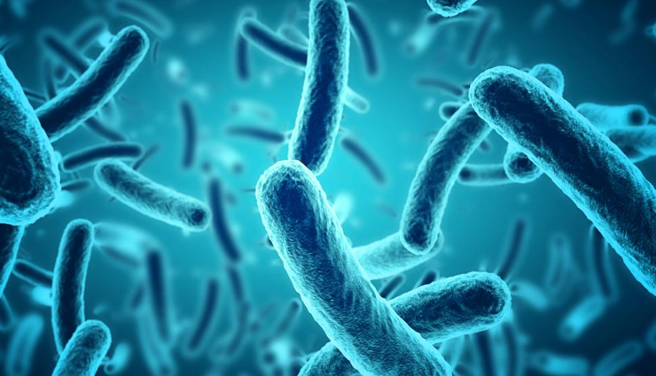 sage,health benefits of sage health tips,fitness tips