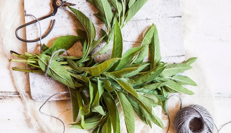 hair colors,natural hair colors,diy hair colors,hair care tips,hair coloring tips,beauty tips