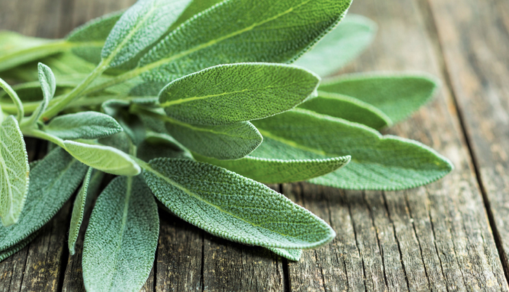 ayurvedic plants,beauty benefits of auurvedic plants,beauty tips,skin care tips