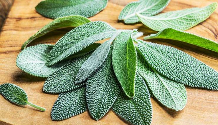 5 Proven Benefits of Sage on Health