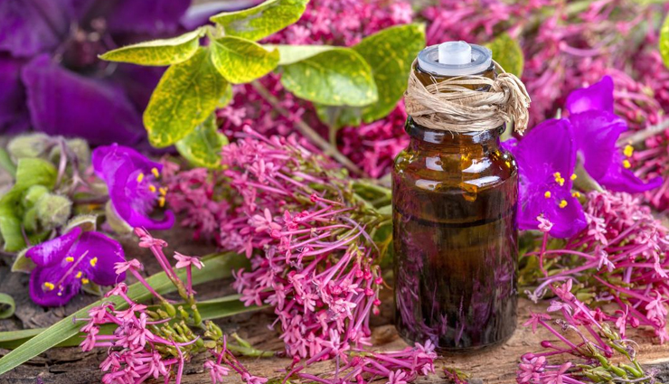 homemade hair dyes,hair dye,tips to hair dye,how to make hair dye at home,hair care tips,hair color,hair color tips,beauty,beauty tips